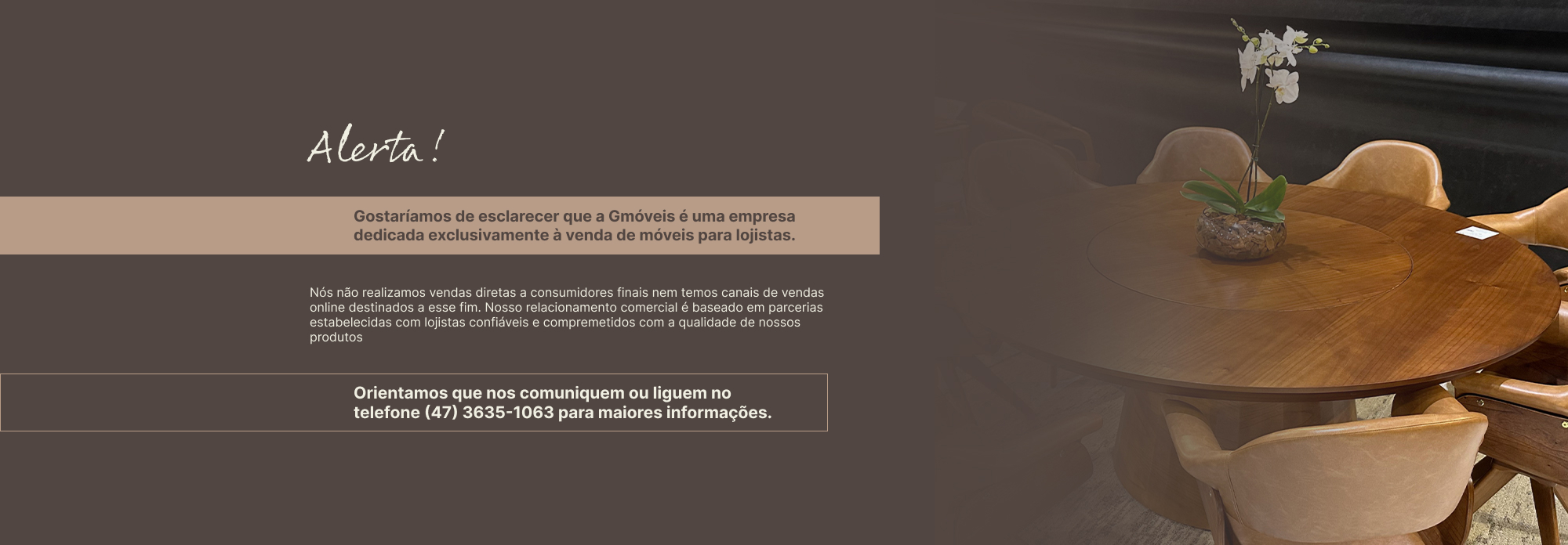 Alerta Gmóveis Ltda